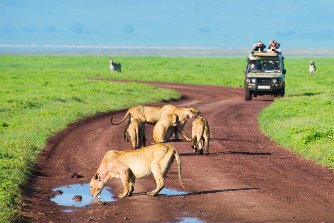 Tanzania Safari & Zanzibar Escape